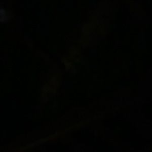 Meet your Posher, Carla